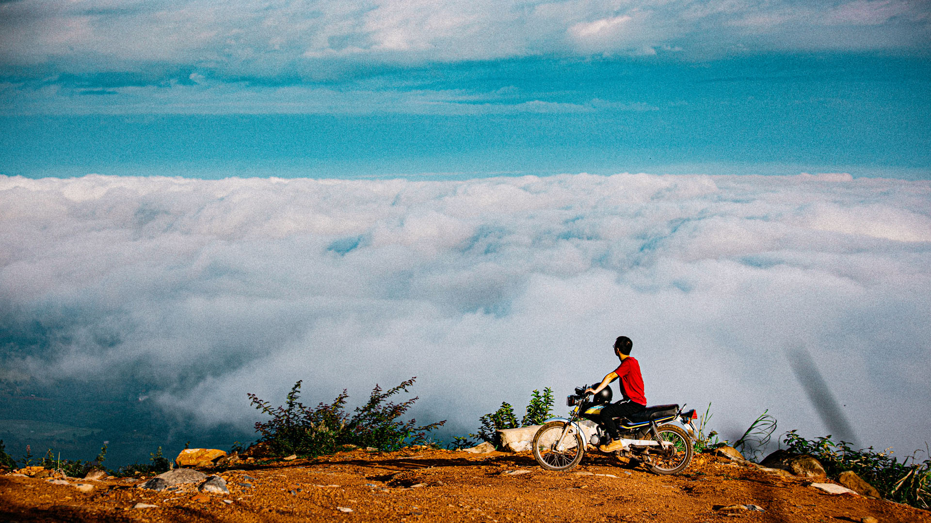 “Người ta có thể quên những điều bạn nói, có thể quên những gì bạn làm, nhưng không bao giờ quên đi cái cảm xúc bạn để lại trong họ.” – Maya Angelou