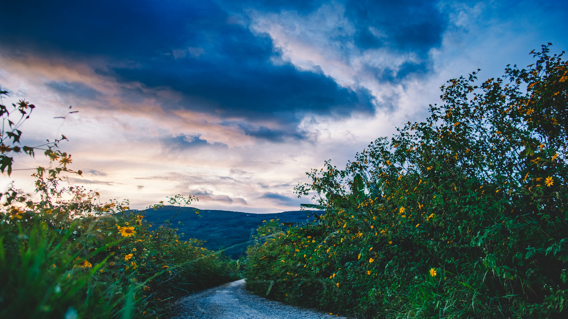 Quên lý trí, thấy tâm hồn