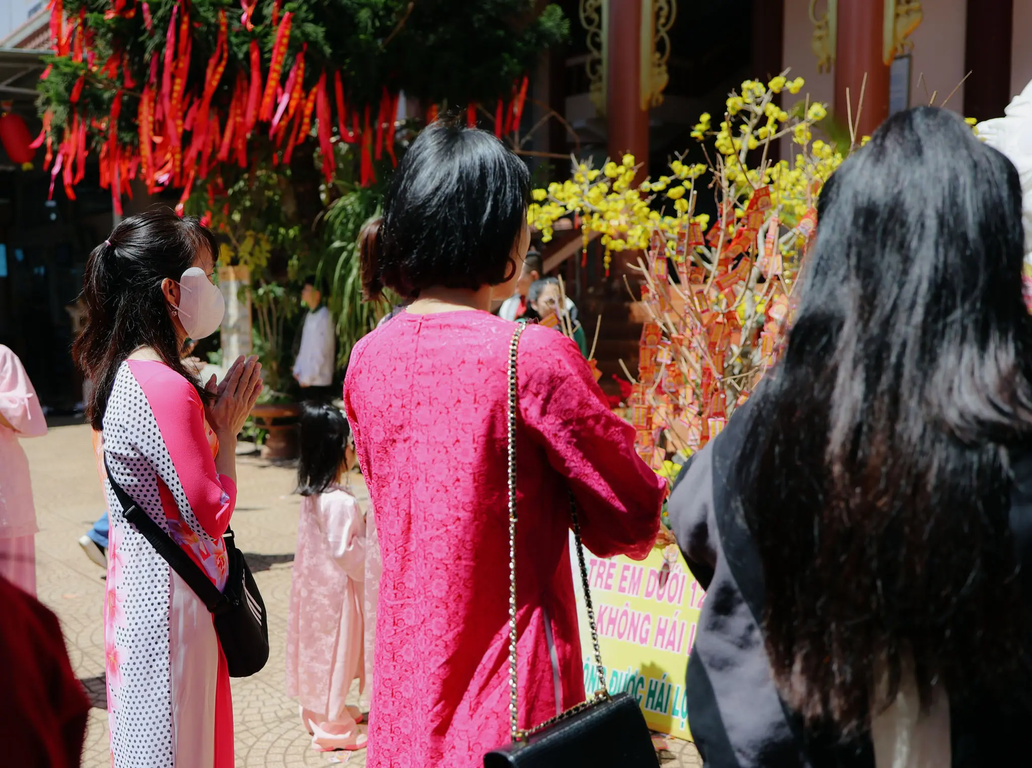 2026 – BẠN YÊU HOA, HAY BẠN THƯƠNG MẢNH ĐẤT?