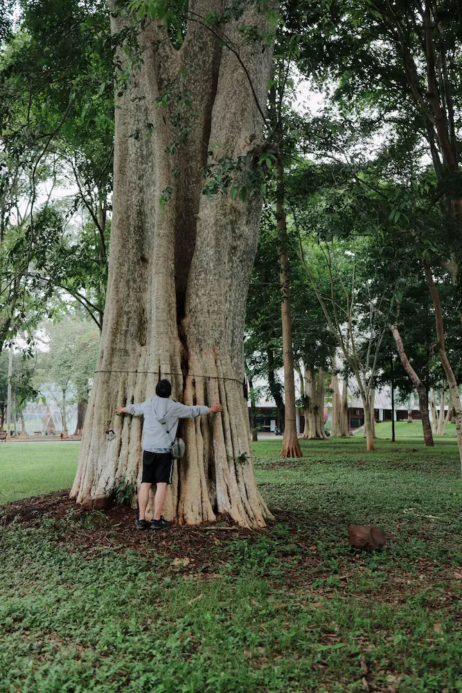 CHẬM LẠI ĐỂ HIỂU NHỮNG NỖI BUỒN ĐAU KHÔNG DỄ THẤY