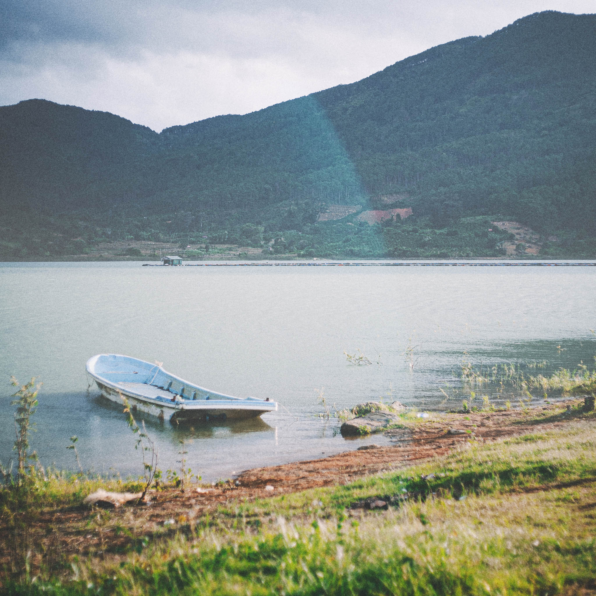 Lên gốc đa, đón chị Hằng